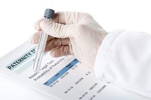 Establishing a Paternity Test
